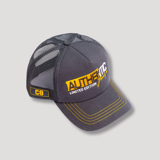 Authentic LE - Net - Grey