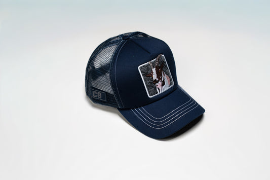 Gazelle Navy - Net