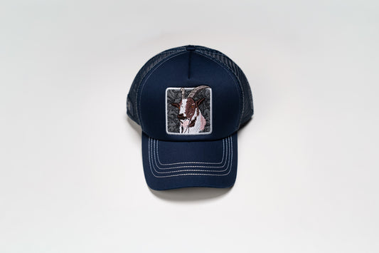 Gazelle Navy - Net